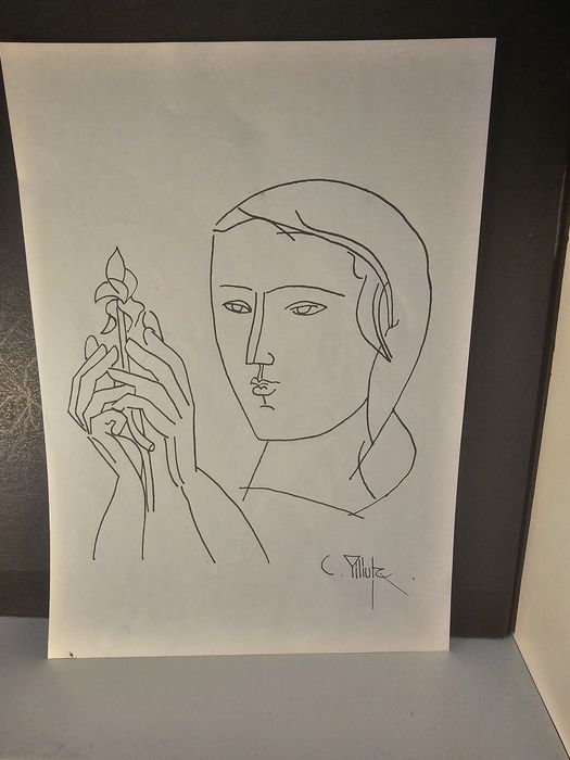 Schite ,studiu tus, cărbune Piliuta, Baba,Peltz, Inachelevici, Jiquidi