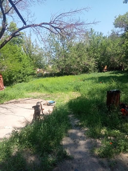 ПРОДАЁМ  трехкомнатный ДОМ г.Шу