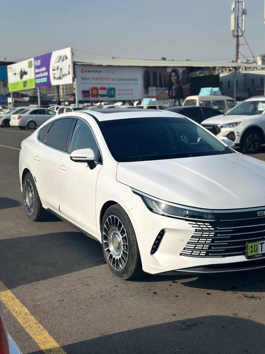 Chazor 2024 2-pozitsa