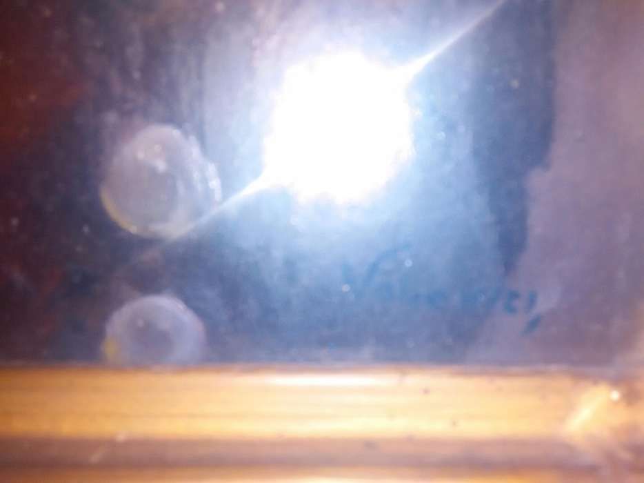 Vand tablou Volovici