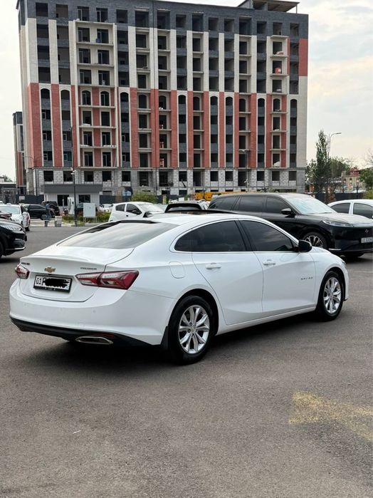 Malibu 2.4 Mator Kraskasi Tozza