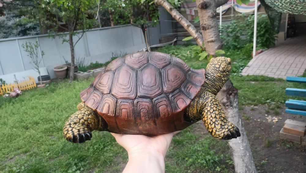 Садовая черепашка