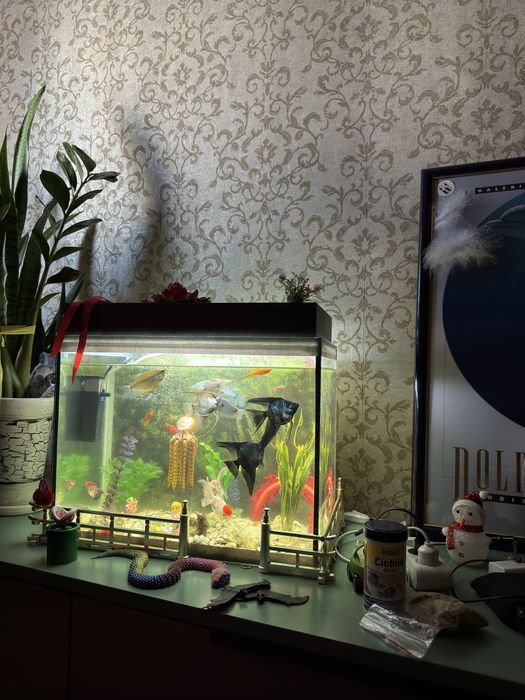 Аквариум с рыбками 60л