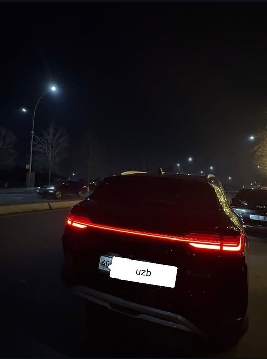 Byd Chempion toʻliq elektr 605