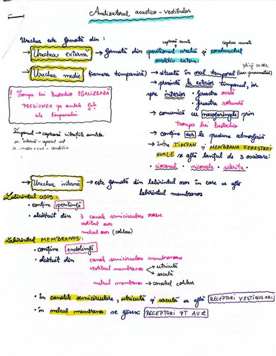 materie completa pentru anatomie bacalaureat (BAC)