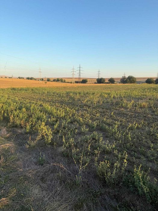 Teren intravilan 4.003 mp Frecatei, Tulcea - drum pe 3 laturi, curent