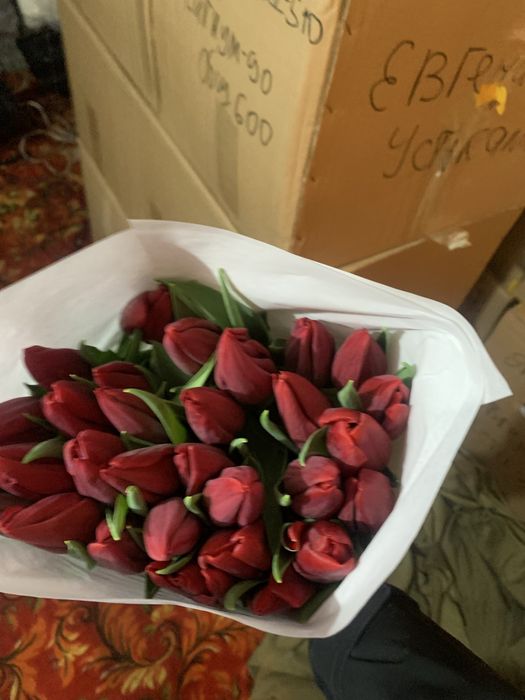 Тюльпаны предзаказ к 8 марта