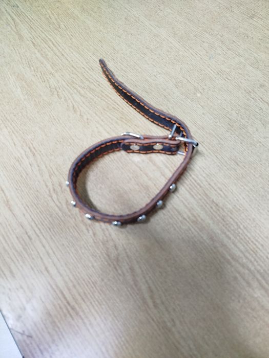 Ошейник для собак