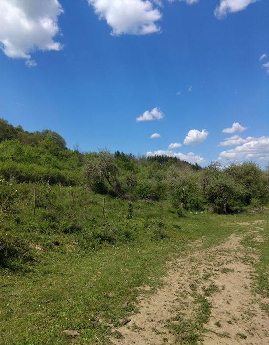 Продава се Парцел в с. Рашка Гращица, Област Кюстендил - 11000 кв.м за 2 €/кв.м - Снимка #3