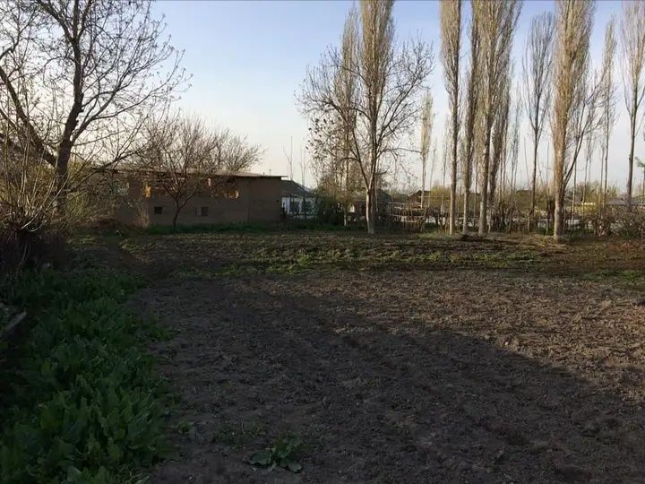 6.5 sotix.Tashaul. QuyiChirchiq tumani. Yilqichi mfy