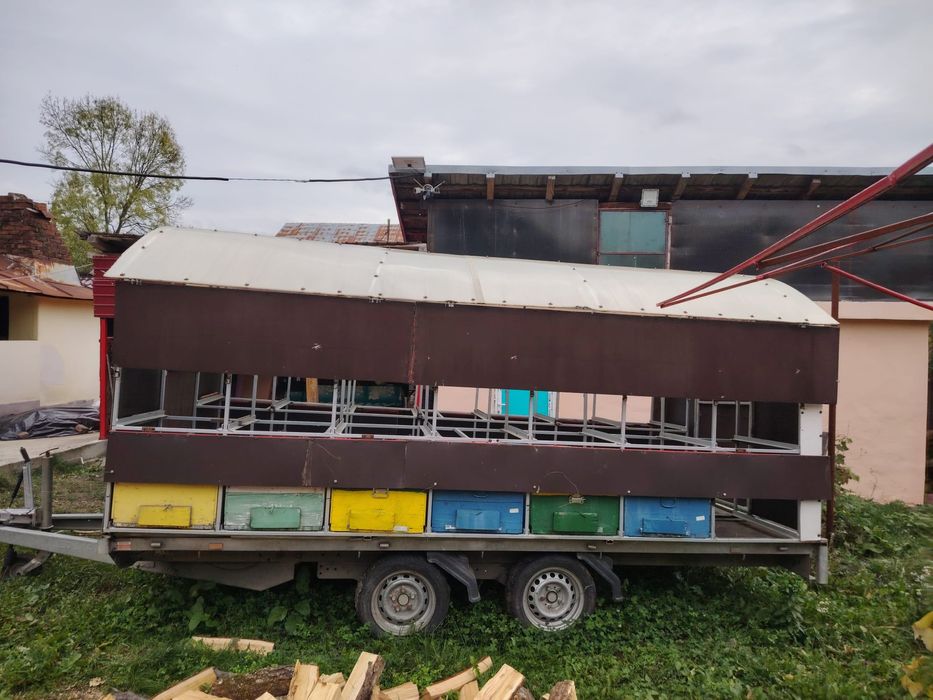 Pavilion apicol 28 familii