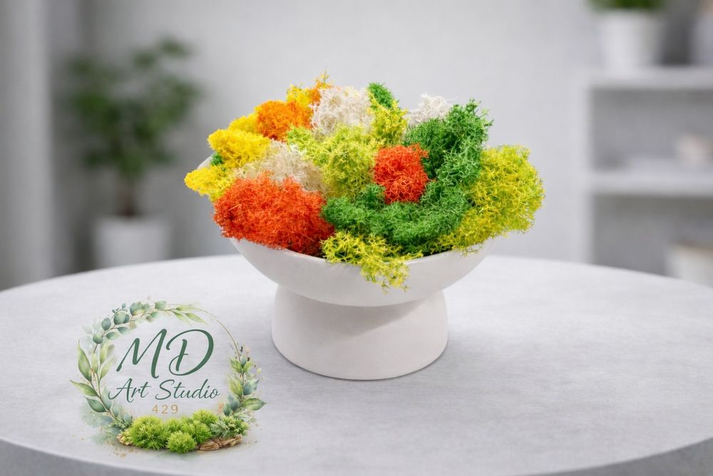 Картини от скандинавски мъх