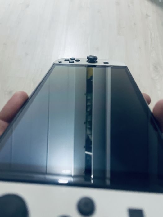 Nintendo switch oled model