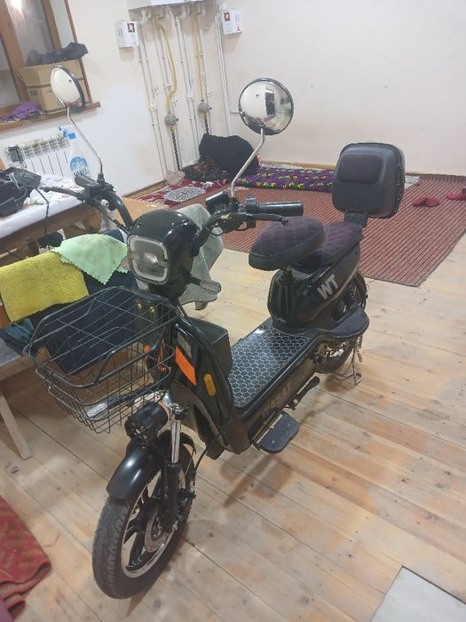 Sukter sotiladi aybi yok