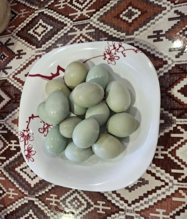 Куры породы Лакеданзи