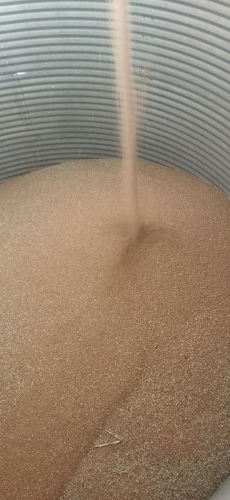 Vând cereale: grâu, porumb, ovãz, floarea soarelui  0745180243