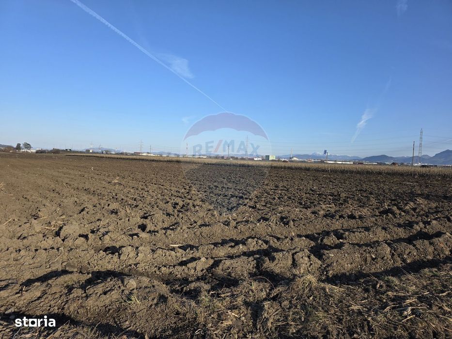 Teren intravilan, 5000 mp, Stupini, str Pomiculturii