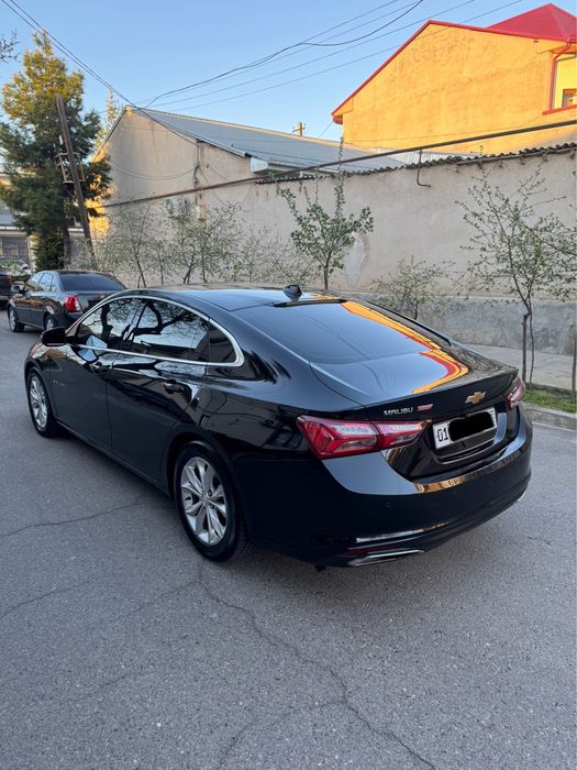 Malibu Premier 2020-21 Qora