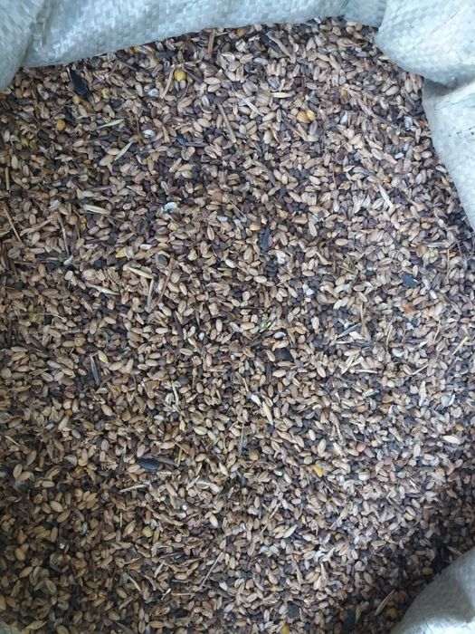 Продам  зерноотходы отруби зерносмесь  пшеница
