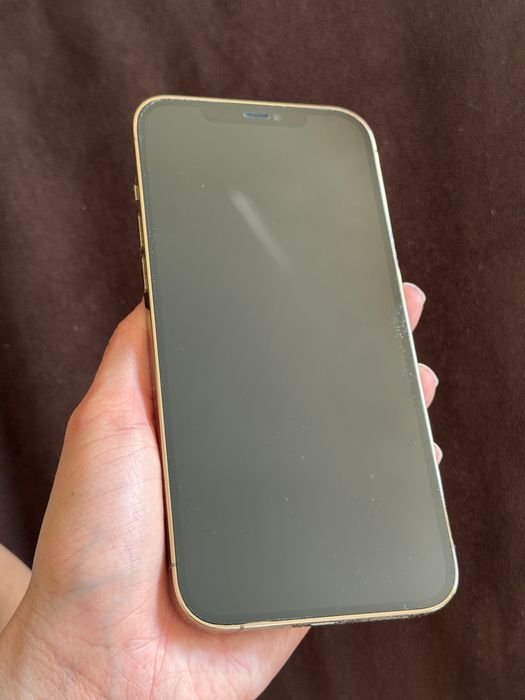 iPhone 12 Pro Max