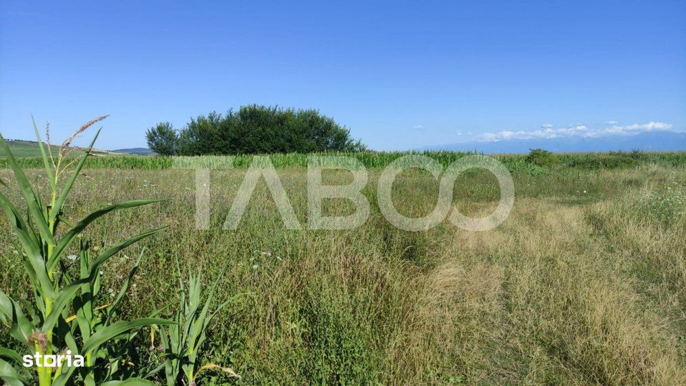 Teren extravilan de vanzare 25920 mp in Sura Mica Sibiu