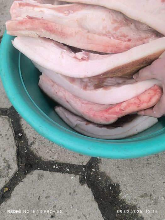 Прясна сланина със кожа