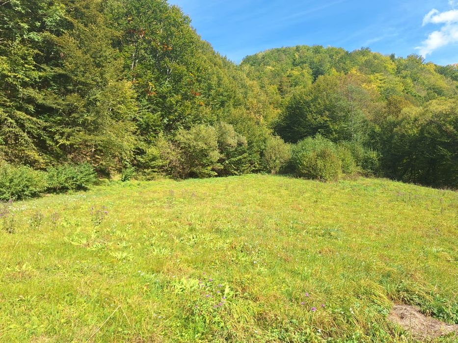 Teren de vazare in Maguri Racatau / Valea Racataului