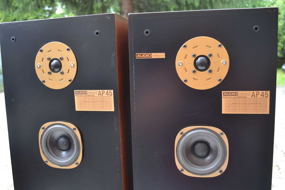 Audio Professional Monitor AP 45