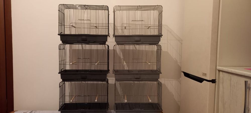 Клетки для разных птиц