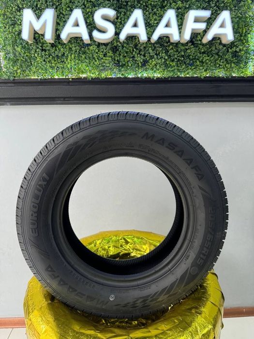 Masafa 2025 razmerla bor