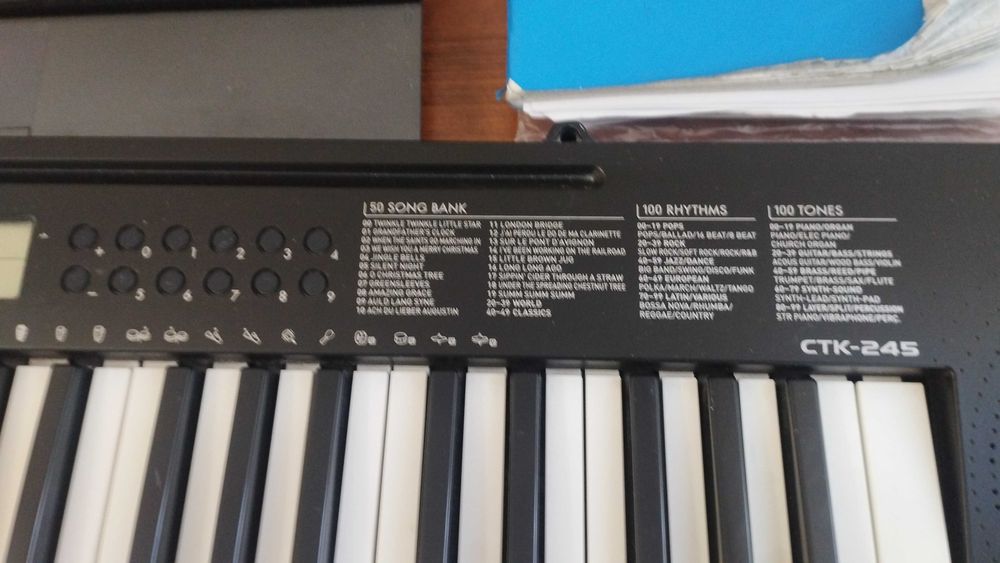 Продам синтезатор CASIO CTK - 245, в отличном состоянии!!!