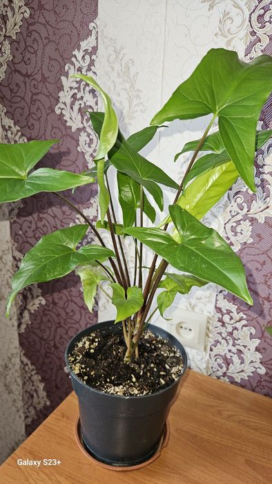 Скидка от 1500тг продам