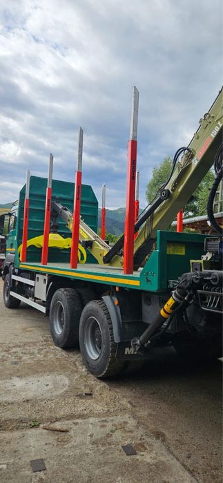Vand camion forestier Man TGS 33500