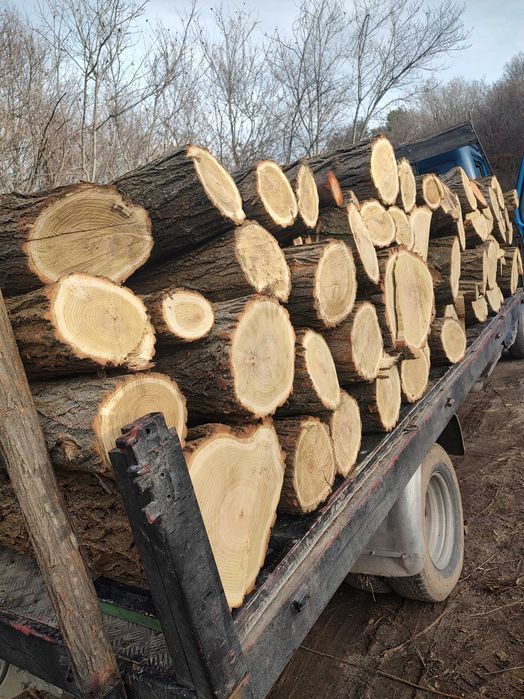 Предлагам дърва за огрев Дъб и бук Безплатен транспорт до адрес