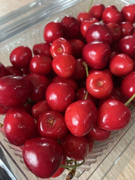 cireșe dulci de gradina