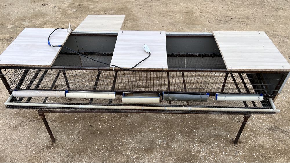 Бөдене қорасы сатылады