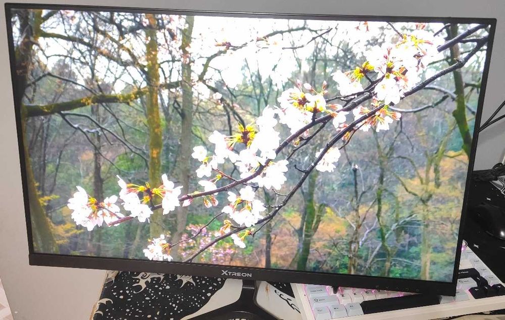 Монитор 23.8" XTREON XT2453DE черный