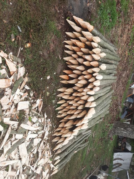 Pari pentru rosii , fasole, gard electric, vie