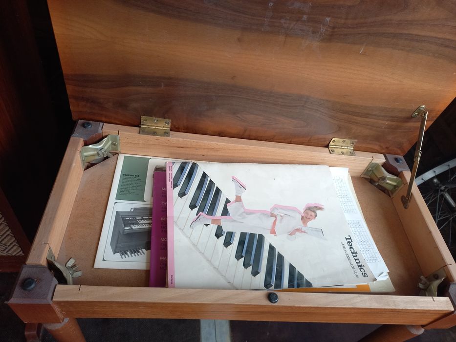 Vând orga pcm sound 33 E