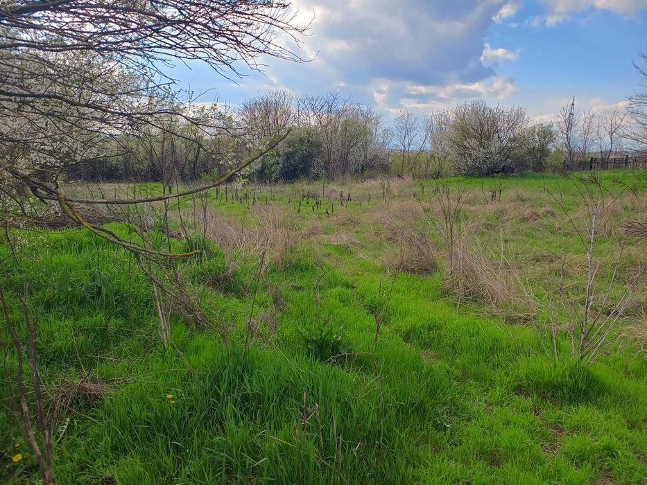 Teren Intravilan Tânganu – 2648 mp – Deschidere Superbă 90 ml – Ideal Investiție/Lotizare