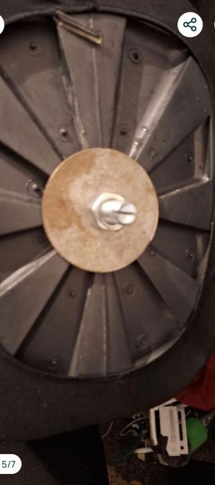 Busturi de prezentare haine