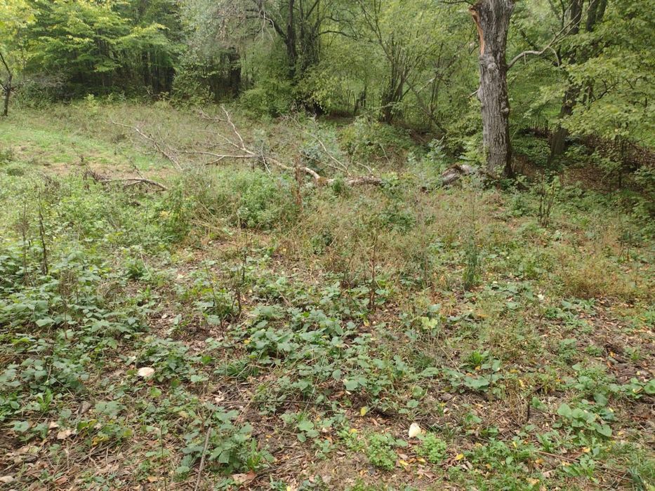 Teren intravilan 3398 mp Provita de Sus -Prahova