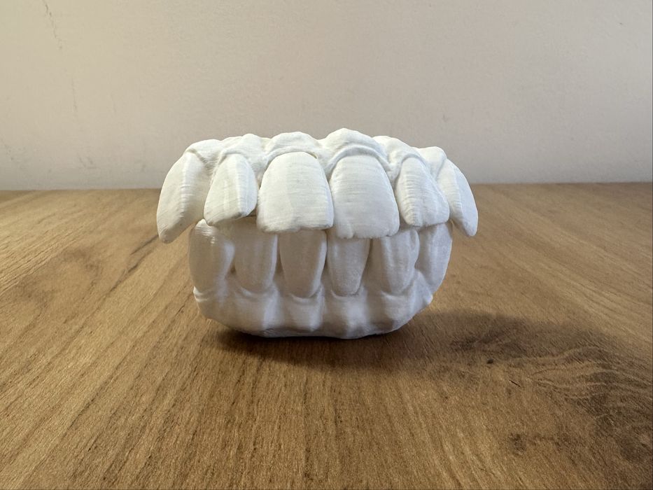 Servicii printare 3D Husa Airpods Pro/Airpods 3, alb/negru