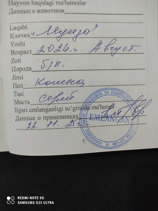 Отдам даром - Yaxshi qo'llarga topshiramiz