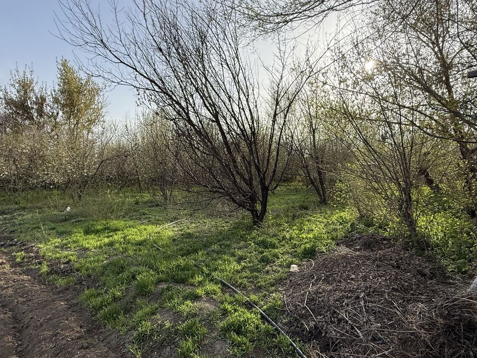 Продам дом, Даирова 118