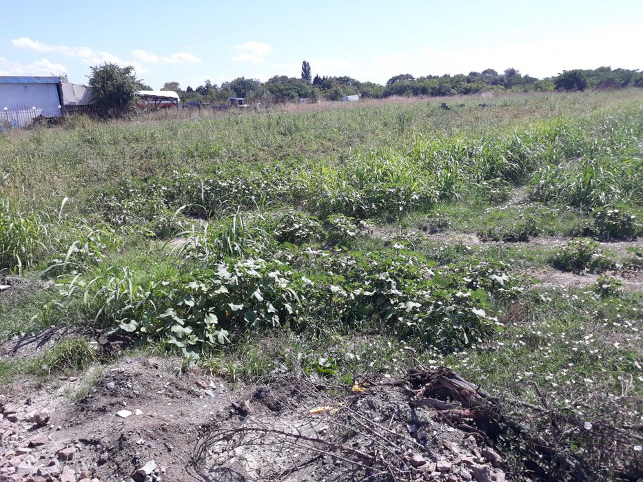 Продава се Парцел в Ахелой - 5000 кв.м за 45 €/кв.м - Снимка #10