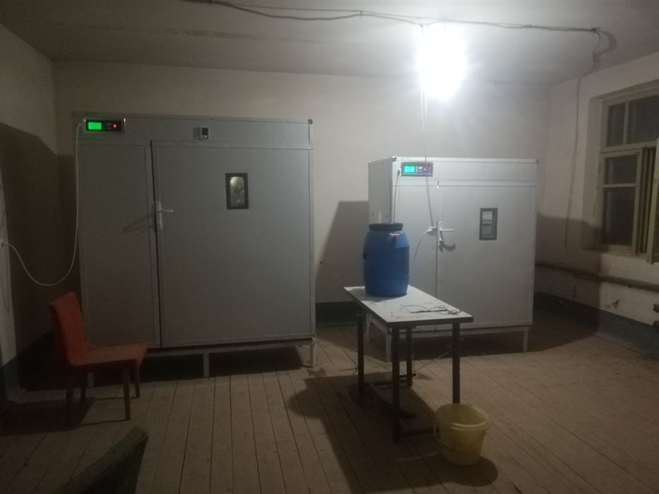 Инкубатор inqubator