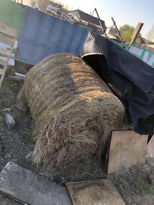 Продам сено в рулоне