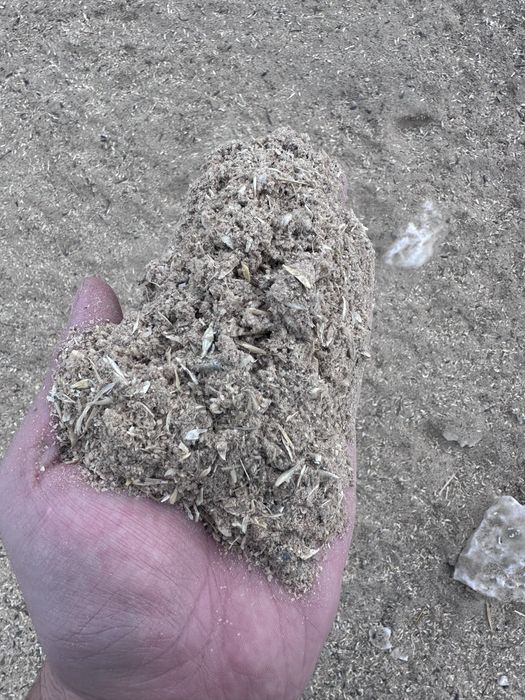 Продам метину корм