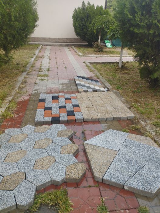 Бурусчатка вибра присовни